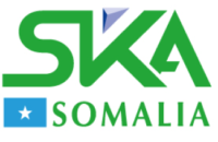 Ska Somalia